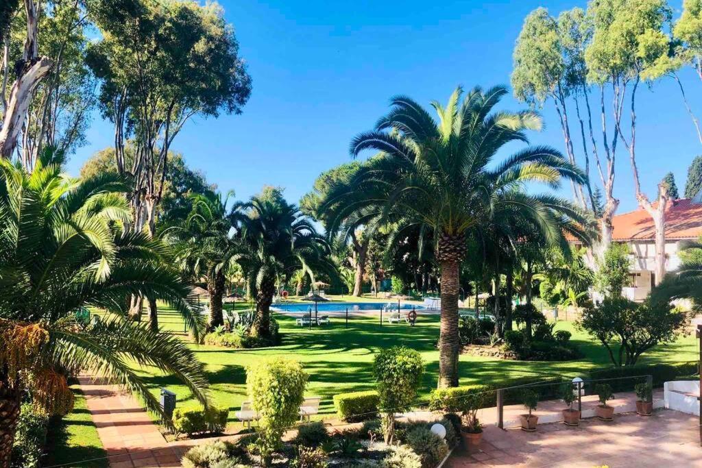 Puerto Banus Richi Suite Marbella Eksteriør bilde